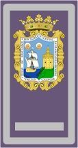 Distintivo Oficial PL Stder