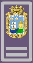 Santander: Impugnación de las bases SUBINSPECTOR policía local Distintivo Subinspector Stder