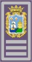 Distintivo Inspector Stder
